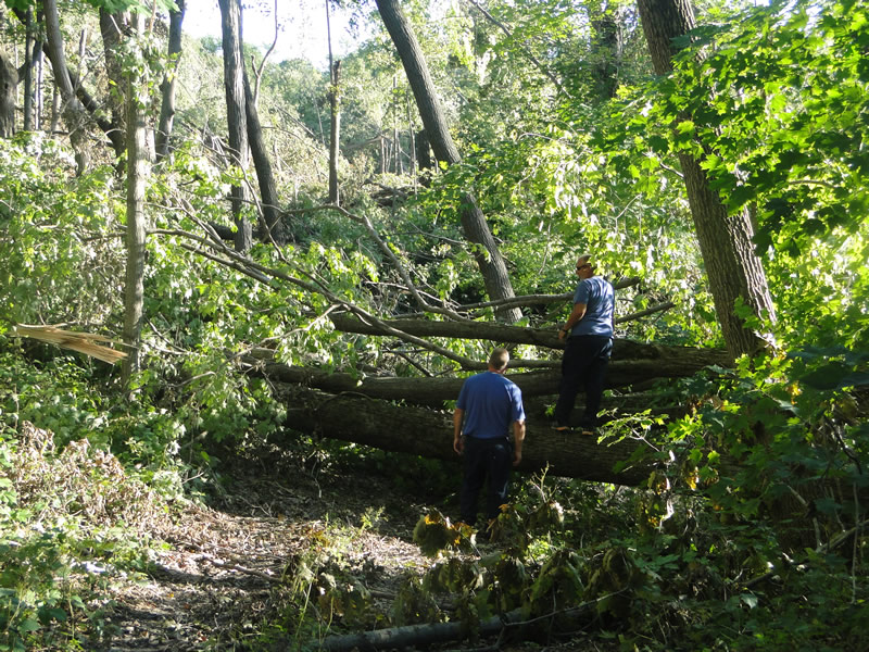/pictures/Trail Clean Up 2018/DSC06593.jpg